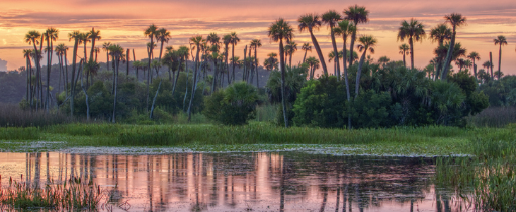 scenic photo of Orange County, Florida